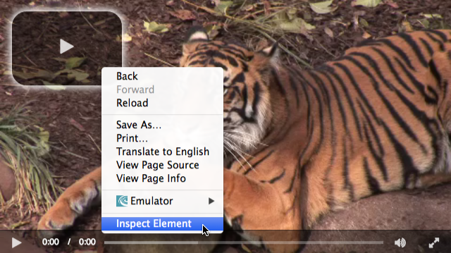 inspect-button